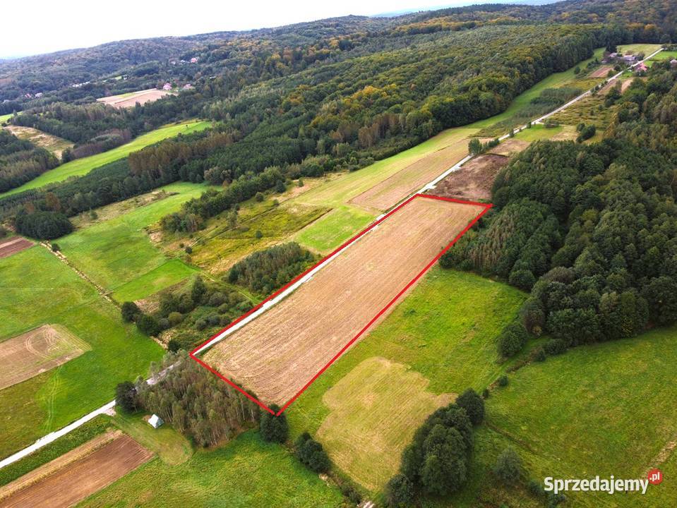 Działka z WZ Sieklówka 120 ar sprzedam