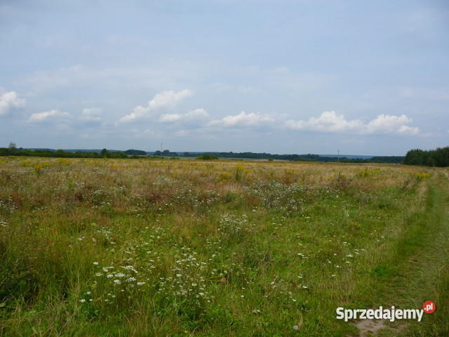 Gospodarstwo rolne zabudowania pole 598 h Tymowa