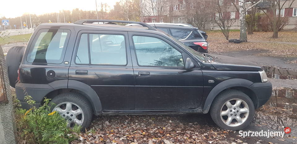 Land Rover Freelander 2002 Grodzisk Mazowiecki