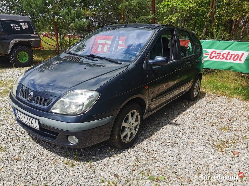 Renault Scenic 16 16V skóra klimatronik Alu Hak nieuszkodzony łódzkie Chynów
