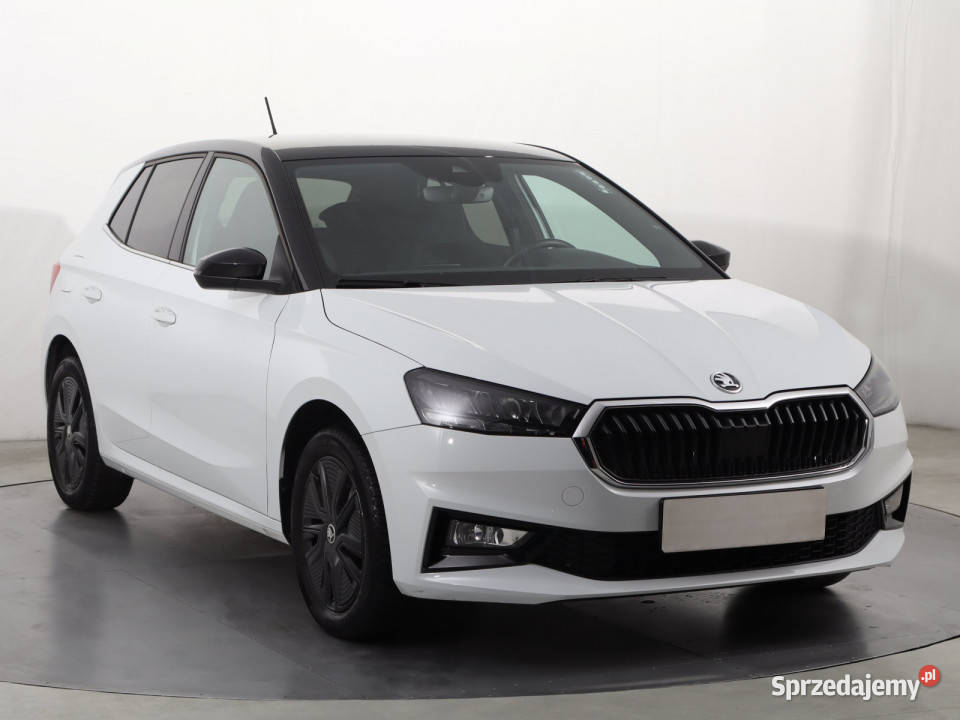 Skoda Fabia 10 TSI ASR (kontrola trakcji) Katowice