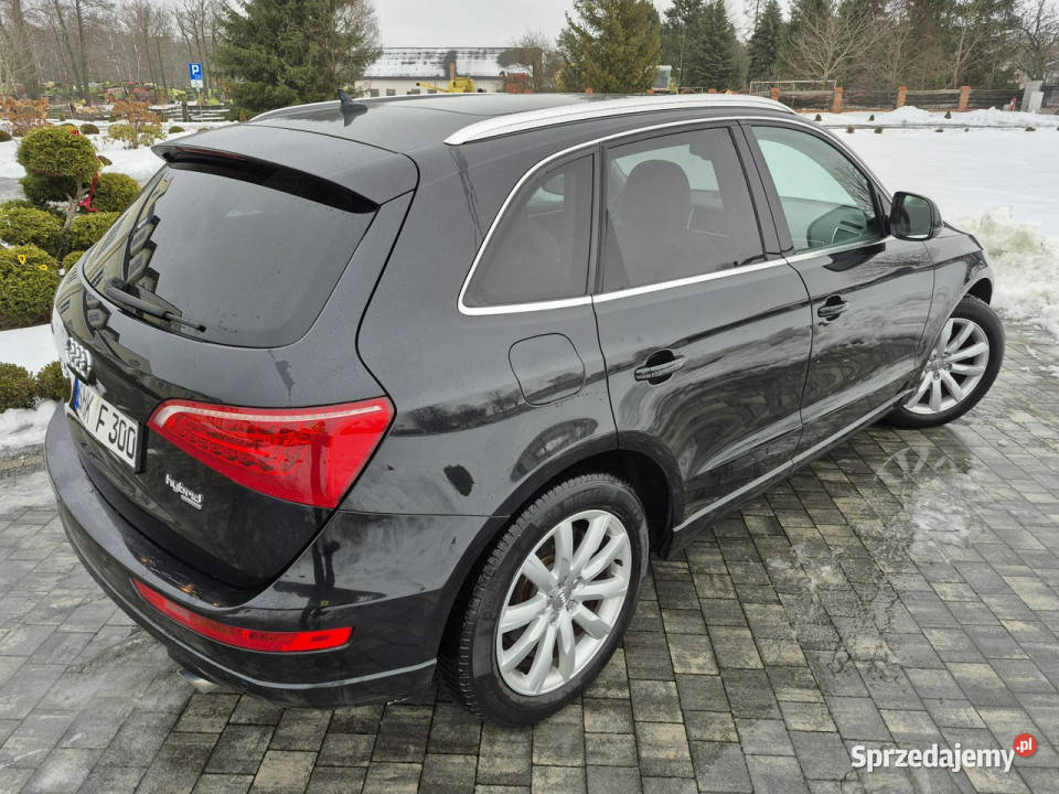 Audi Q5 xenon led navi chromy KAMERA ładny wielofunkcyjna kierownica Motoryzacja Drelów