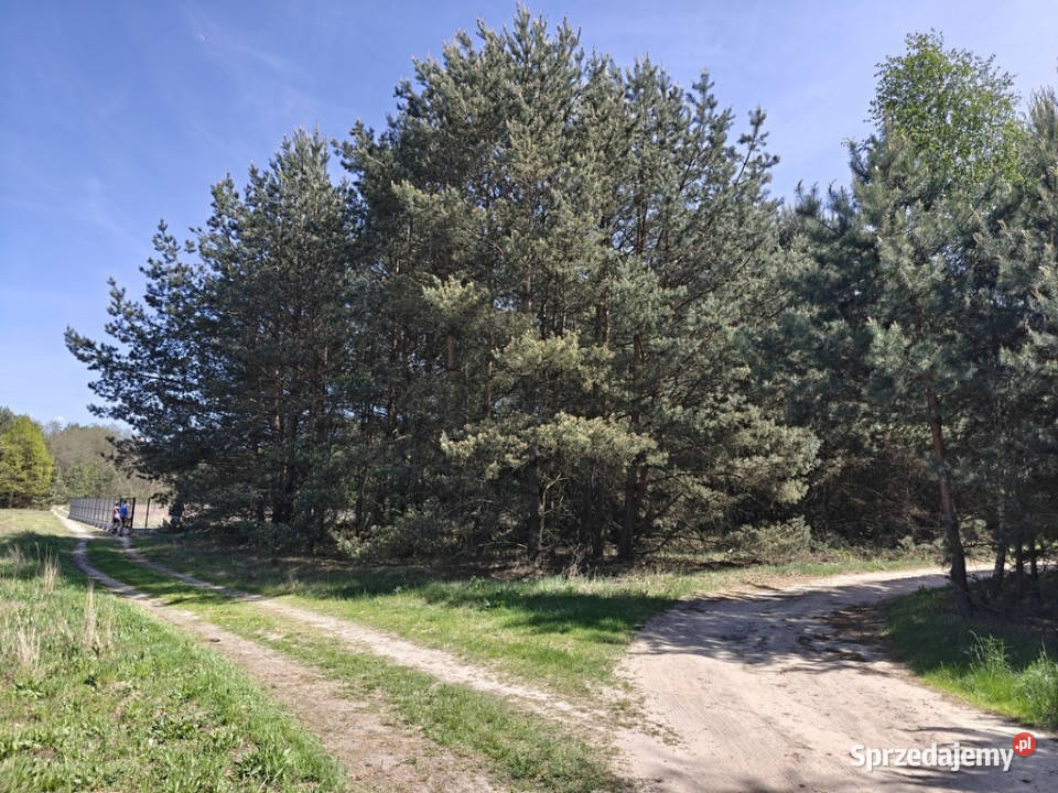 Michałów urokliwa działka budowlana 5500 m2