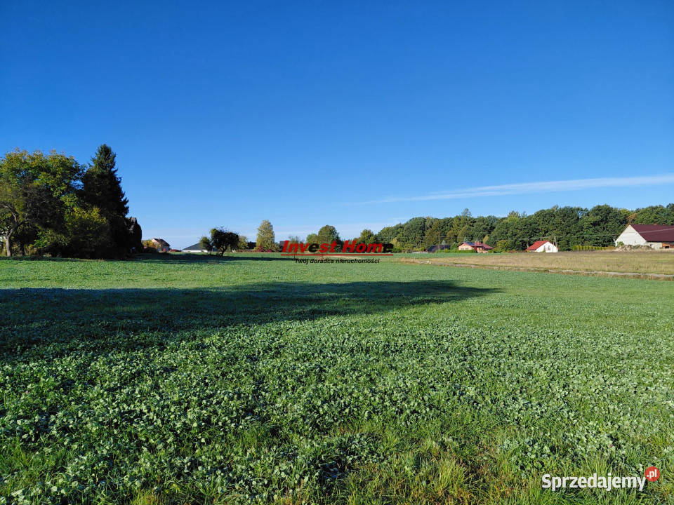 Do sprzedaży działka Dębowiec 1063m2 Sprzedaż sprzedam