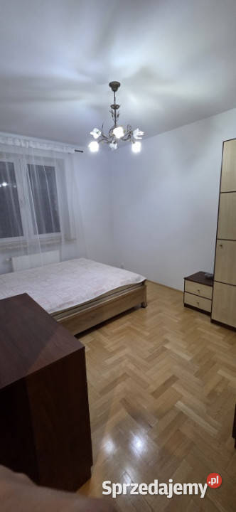 Wyjnajem Cystersów Kraków