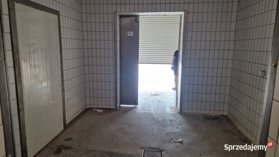 Powierzchnia magazynowa do wynajęcia Lokale użytkowe sprzedam