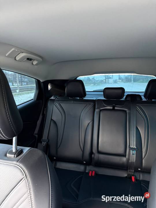 Mustang mache podkarpackie Jarosław