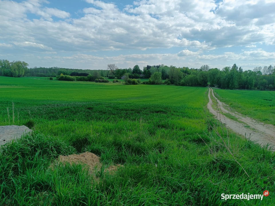 Działki budowlane 5 Janowa Podlaskiego 21m Nieruchomości lubelskie