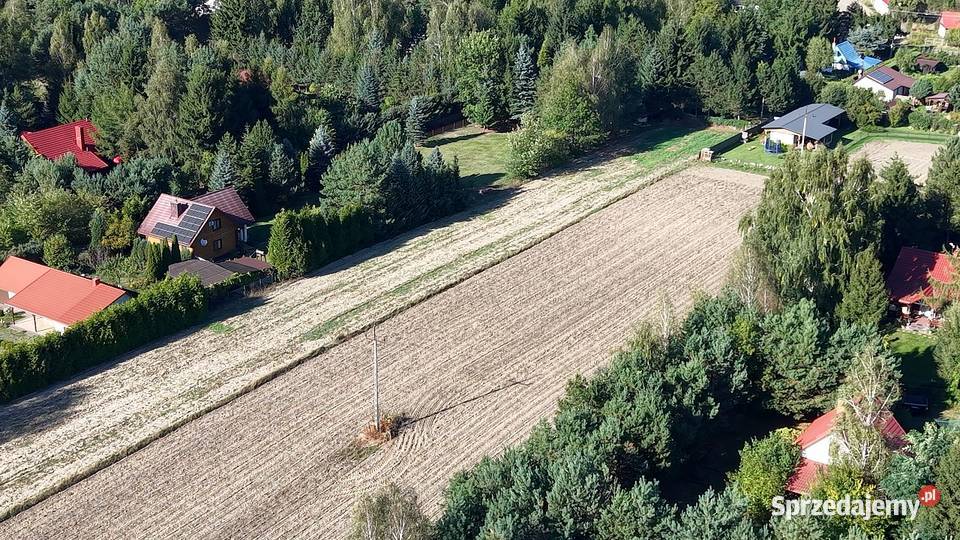 Działka 3013 m w Jedlance jeziora i lasu Jedlanka