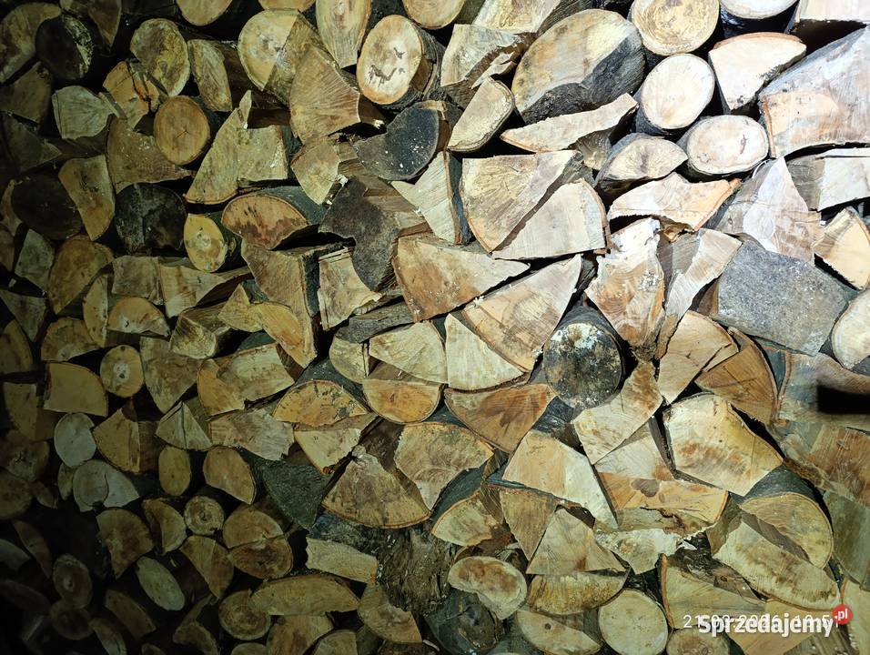 Drzewo bukowe małopolskie Ropa