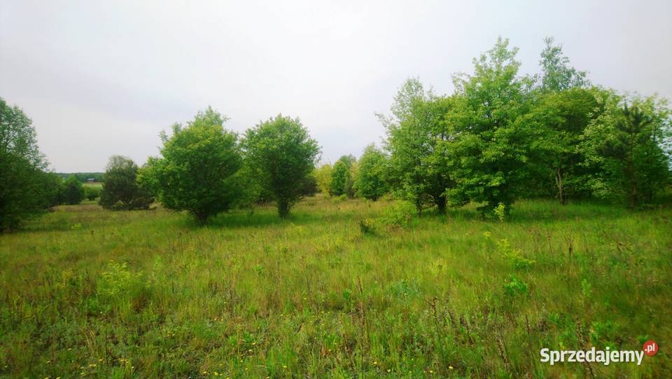 Sprzedam działkę o powierzchni 1093m2 z prawem mazowieckie Popielżyn-Zawady