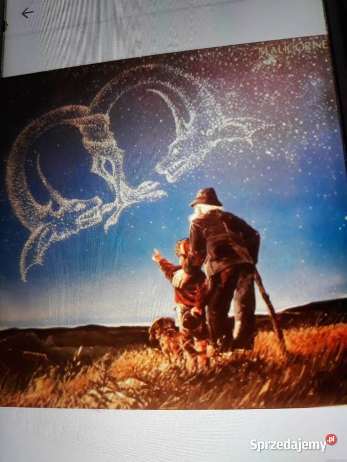 Archiwum Prog Folk Rocka MALICORNE Malicorne Rzeszów