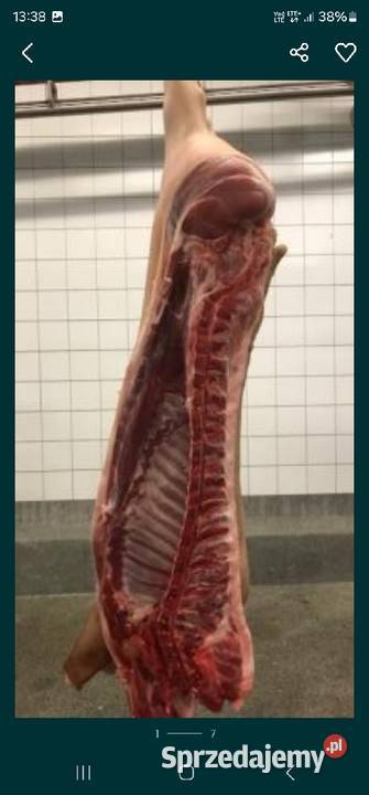 Polskie półtusze wieprzowe ROLNIKA rozebrane Mięso i wędliny Legionowo