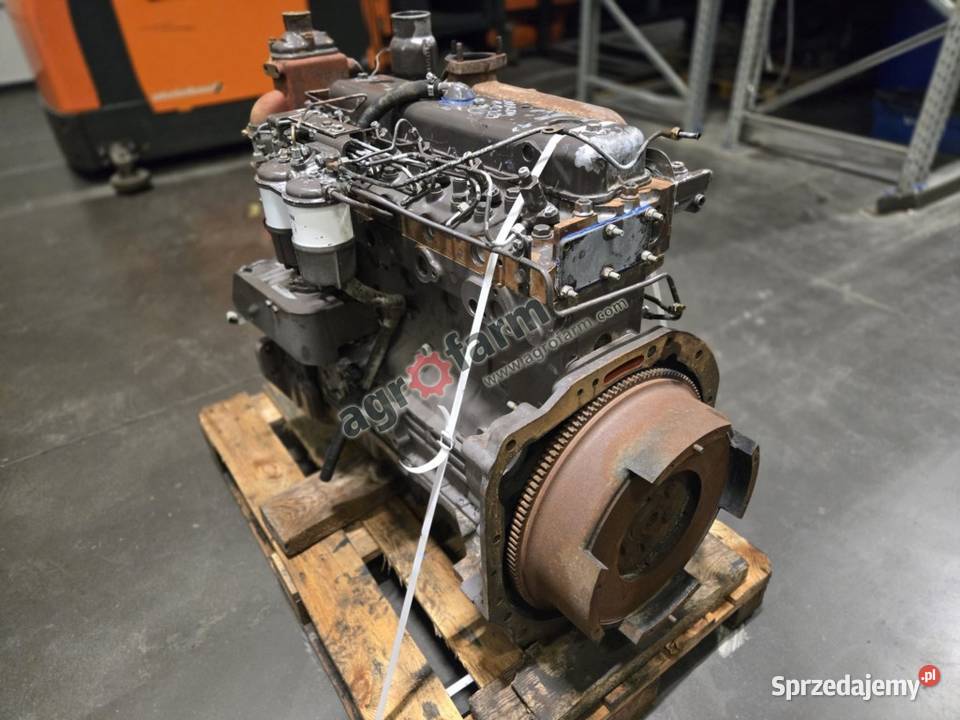 Silnik Massey Ferguson 3080 Perkins A6354 Byków sprzedam