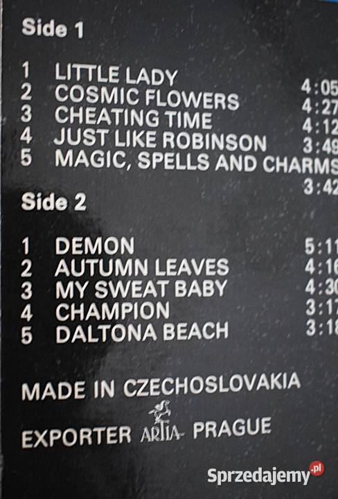 Hana and Dana 1982 Stan płyta winylowa Płyty i kasety Chełmno sprzedam