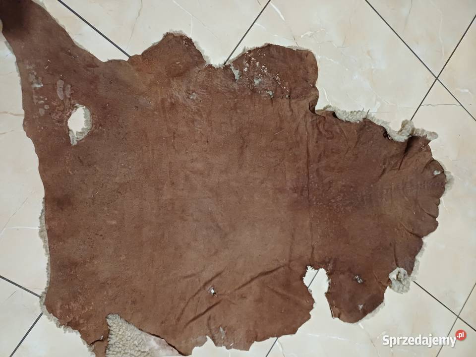 Skóra owcza różne wymiary krótko strzyżone Siedlce