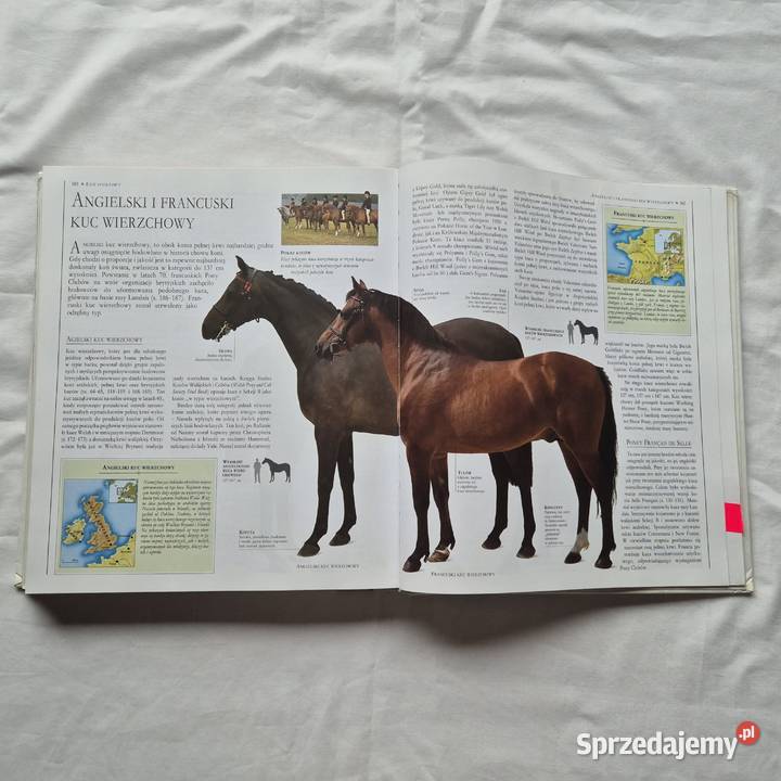 Wielka encyklopedia Konie