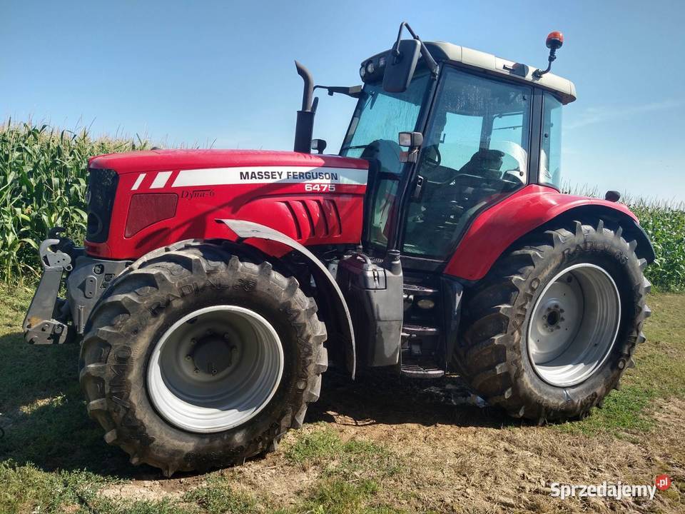 Masy Ferguson Krasnystaw