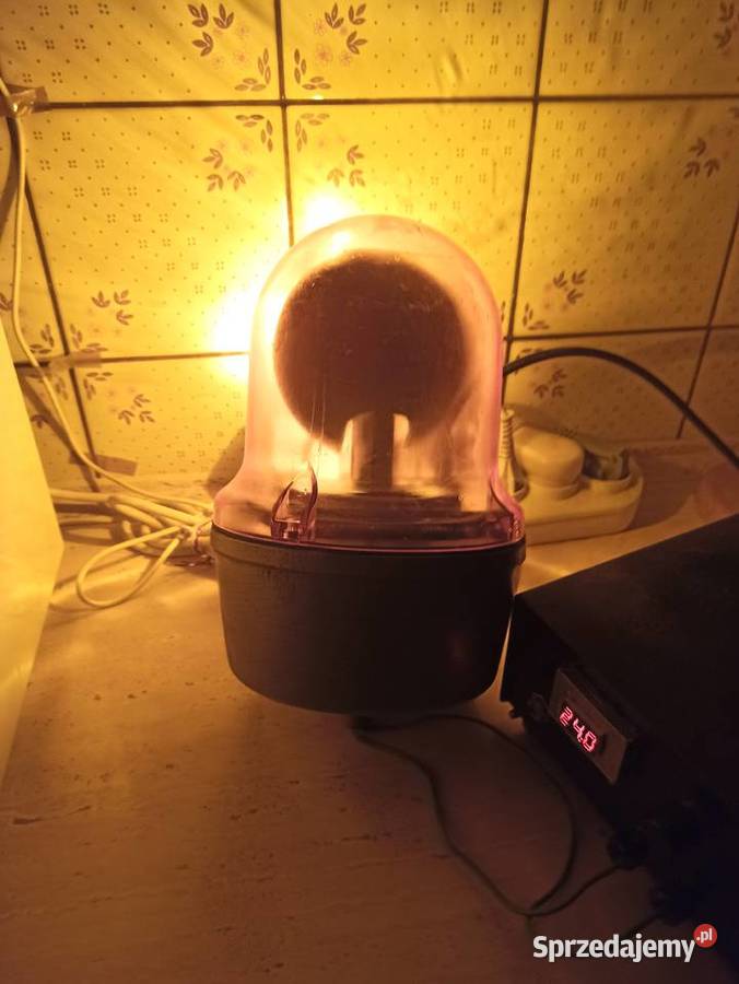 Kogut lampa Elektra LBS5 24V Stan Gorzów Wielkopolski