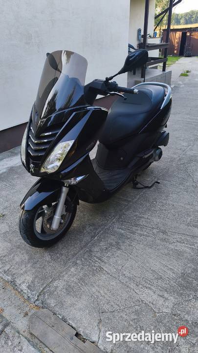 Peugeot Citystar Starogard Gdański