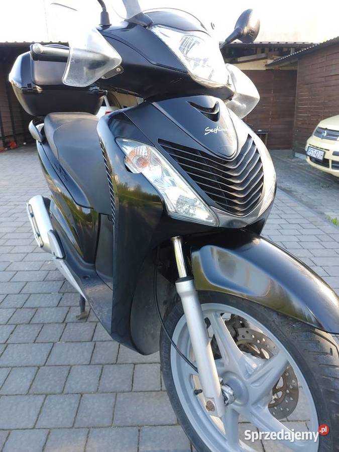 Honda sh150 Nisko