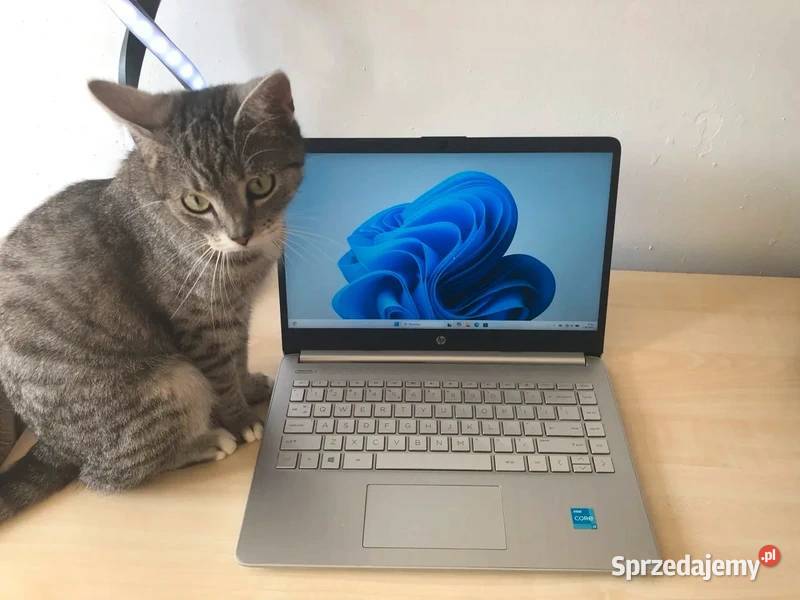 Laptop HP 14sdq2009nw Trzcianka