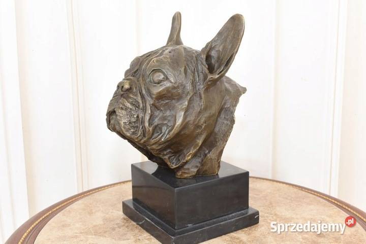 Popiersie Psa Buldog MOPS PIES Figura z Brązu małopolskie Kraków