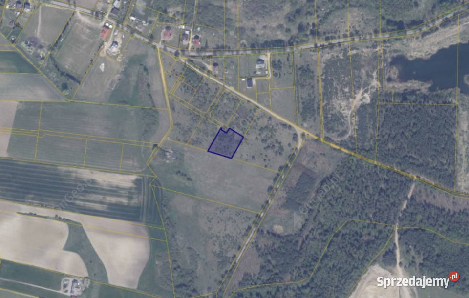 Działka 1947 w Ełganowie Ełganowo