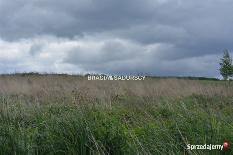 Działka na sprzedaż 1726m2 Glewiec