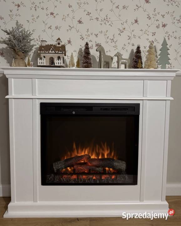 Kominek z drewna wkład grzewczy elektryczny eko Warszawa