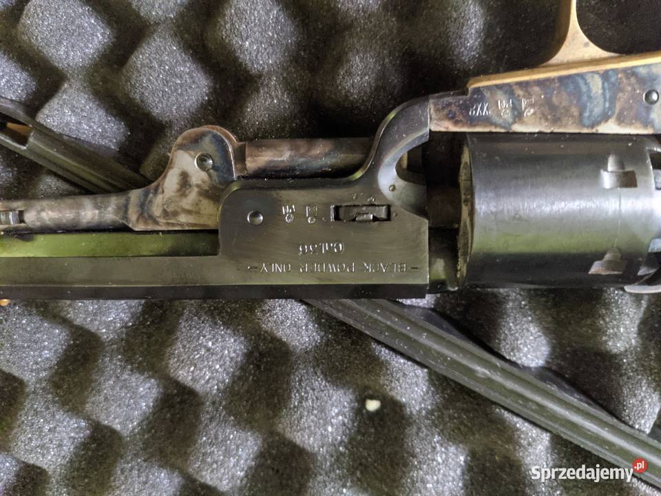 Colt czarnoprochowy mazowieckie Ostrołęka