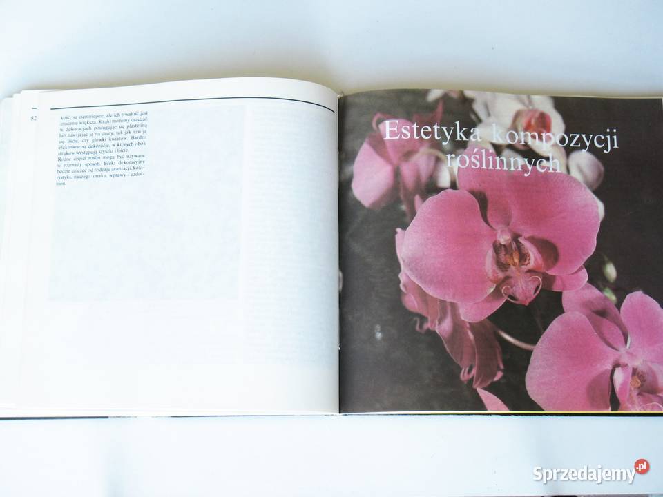 Układanki roślinne Joanna Szendel Poradniki, albumy i reportaże małopolskie Kraków sprzedam