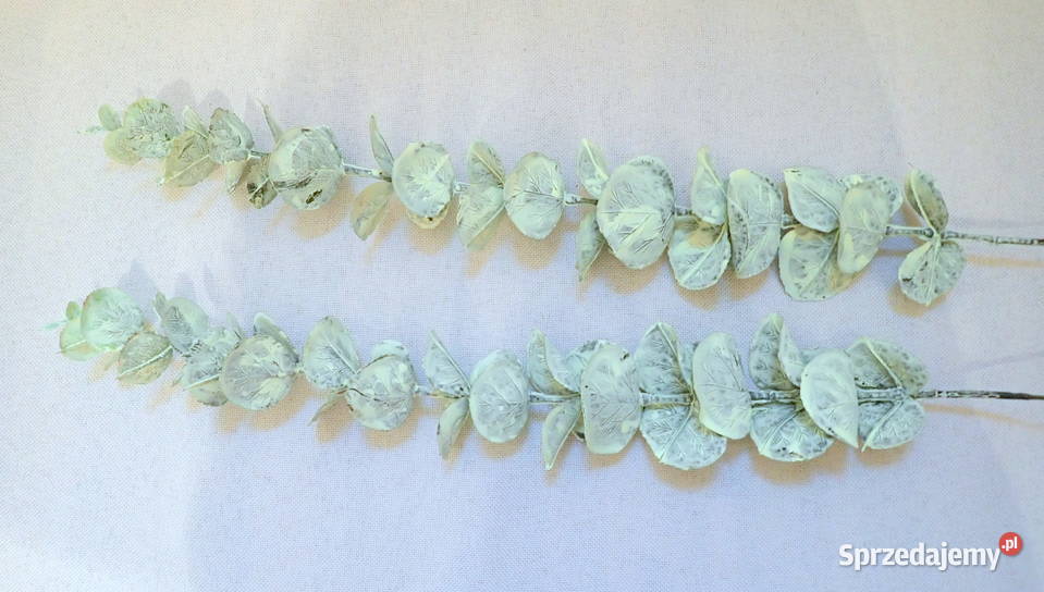 Dekoracja gałązka eukaliptusa ozdobna zielona 44 Siewierz