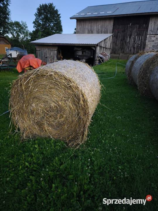 Słoma pszeniczna tegoroczna Jawornik Ruski