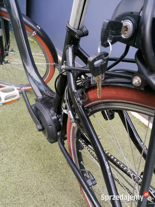 Ebike RieseMller Bosch 28 Trzemeszno