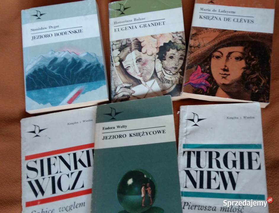 Księżna de ClevesMaria LafayetteEugenia Grandet łódzkie Łódź