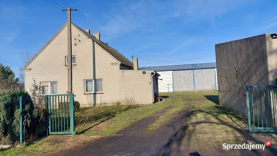 Gospodarstwo rolne wielkopolskie Pogorzela