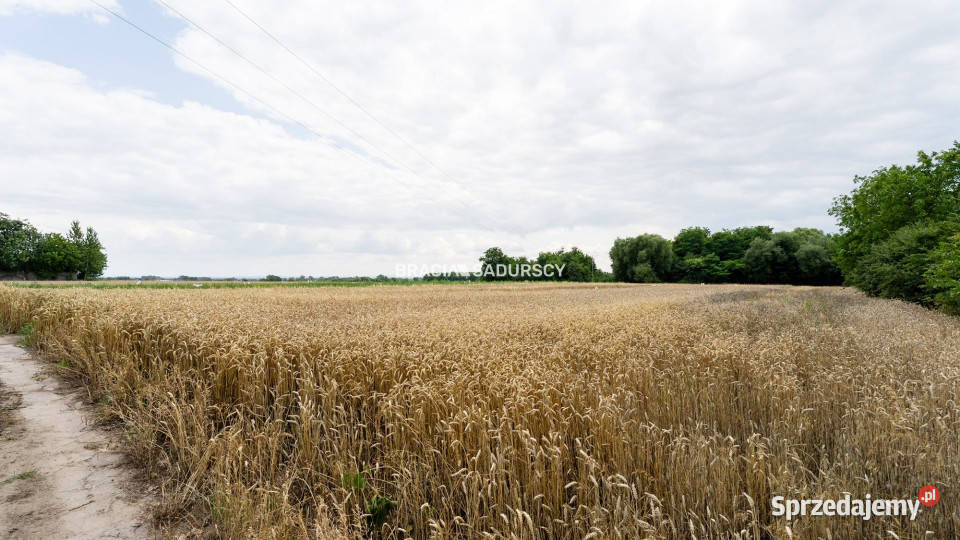 sprzedaży gruntu 1700m2 Kraków Rusiecka
