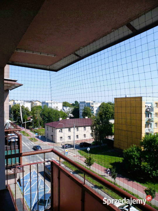 Montowanie siatek przeciw gołębiom na balkon usługi dla zwierząt