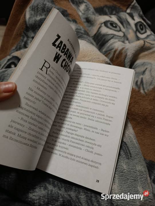 Angry Birds zatytułowana Kapitan Badburger  wielkopolskie Poznań