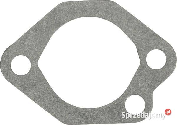 Uszczelka 110602334 Kamionna