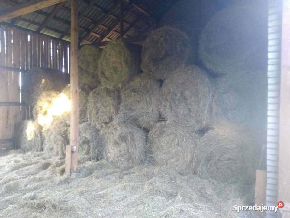 Sprzedam siano 1 pokos Trawy, słoma Sitno