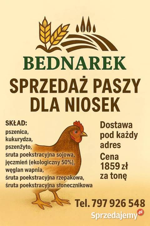 Pasza kur niosek Piotrków Trybunalski