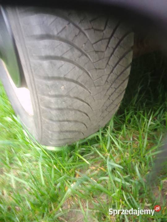 Hp500 lubuskie Strzelce Krajeńskie