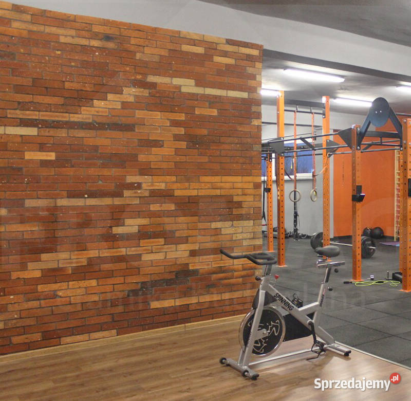 ROZBIÓRKOWA CEGŁA STARA PŁYTKI poniemiecka cięta Szczecin