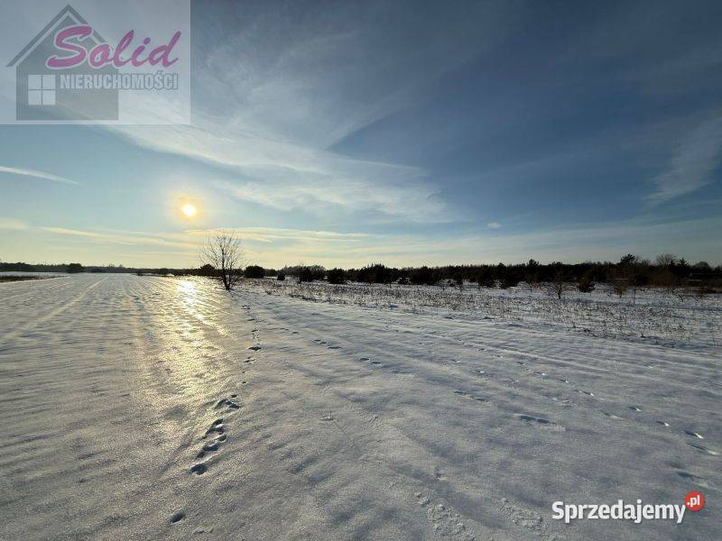 działki rekreacyjne jeziora Przytomne Zuzinów