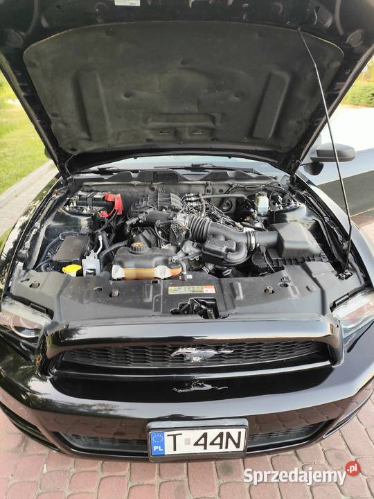 Ford Mustang V 2014r 37v6 manual Połaniec sprzedam