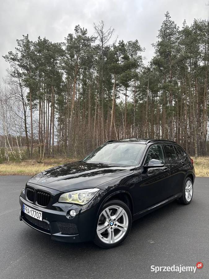 BMW X1 E84 MPakiet Stan 143KM wielkopolskie Rawicz