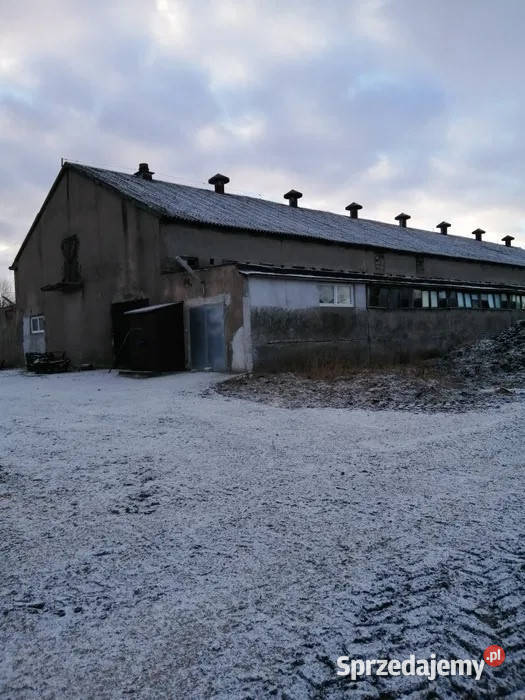 Sprzedam Gospodarstwo Rolne 326 ha Kikół sprzedam