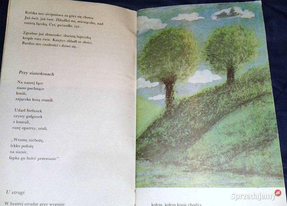 Sny szczęśliwe Józef Czechowicz Chełm sprzedam